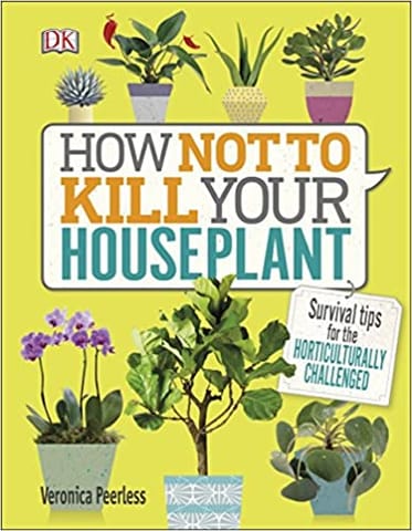 How Not To Kill Your Houseplant Survival Tips For The Horticulturally Challenged