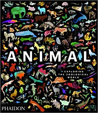 Animal Exploring The Zoological World