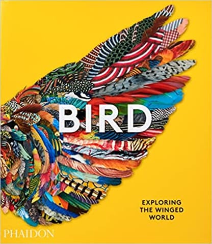 Bird Exploring The Winged World