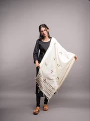 Warli Hand Painted Stole
