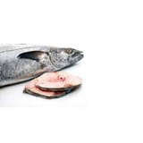 King Fish Slice Cut : 1 Kg-edobo