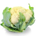 Buy Cauliflower: 1 Pc (600 Gm - 1 Kg) - edobo