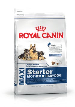 Royal canin starter maxi