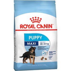 Royal canin maxi puppy