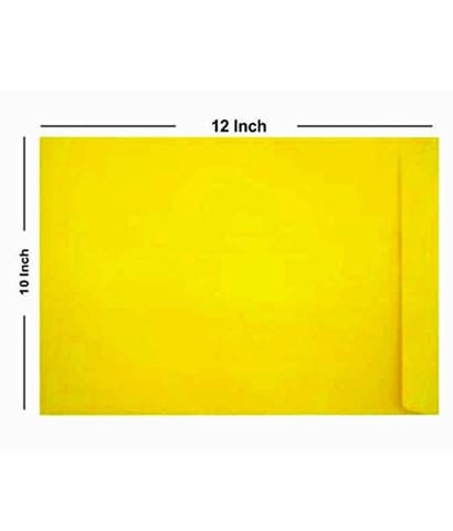 Laminated envelope 10×12