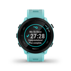 Garmin Brand Smart Watch A04162 Forerunner 55