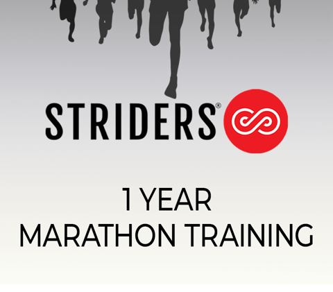 Marathon training (1 Year)