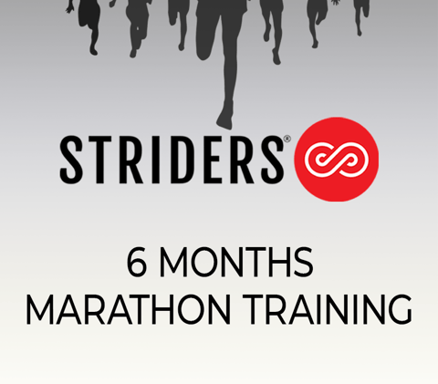Marathon training (6 Months)