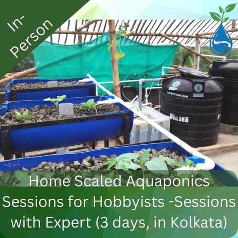 Home Scaled Aquaponics Sessions for Hobbyists - In Person Sessions (3 days, in Kolkata)